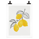 Plakat Blursbyai - Ilustracja przedstawiająca gałązkę cytryny