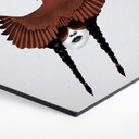 Hexagon Dibond Alu-Dibond Ireland - Dark Cardinal