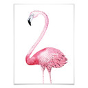 Plakat Kvilis - Pink Flamingo 01