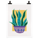 Plakat Demir - Boho-Botany