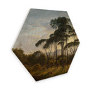 Hexagone - Placage bois de bouleau Voogd - Paysage italien avec pins parasols