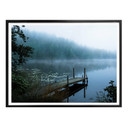 Plakat Lindsten - Moody Morning 
