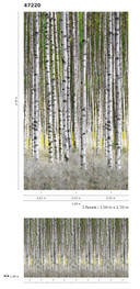 Birkeskov tapet Fototapet hvid, grøn,Blomster 2,70 x 1,59 m