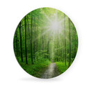 Wandcirkel Alu-Dibond - Sunny Forest