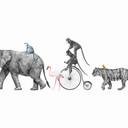 AnimalQueue i hvidgrå - non-woven tapet Designwalls 2 - 2,55 x 3,5 m
