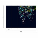 DarkFlowers2 blomstertapet sortlilla - non-woven tapet Designwalls 2 - 2,55 x 3,5 m