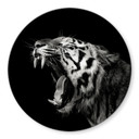 Tableau en verre Meermann - Le tigre - Rond