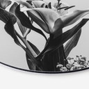 Tableau sur alu-Dibond rond Jo - Lys magique noir et blanc