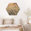 Hexagon Hout Mexican Daisy