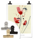 Plakat Papaver Rhoeas