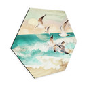 Hexagon Dibond Måger på stranden - SpaceFrog Designs