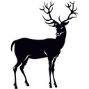 Wallsticker Rådyr 2