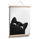 Poster Chat noir amusant - Korenkova