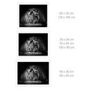 Poster Golob - Hippopotame qui Souffle | Photographie Animalière Noir et Blanc - 30x24 cm