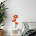 Sticker mural - Gerberas Oranges