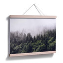 Plakat z mglistym lasem