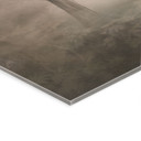 Acrylglas Woudmagie in de ochtendnevel Beige - Ms Tiff