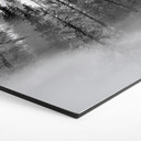 Hexagon Dibond Xu - Foggy Forest