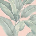 Fototapeta Banana Leaf - Urban Jungle Tropical Leaves Pink - Bloomery Decor