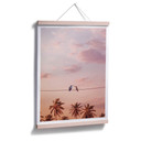 Plakat Loose - Zakochane kolibry