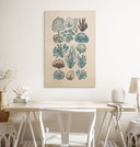 Plakat drewniany Filigranowe glony i muszle - casa cartissi