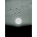 Livingwalls papier peint photo ARTist Winter Lights Winter