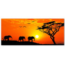 Canvasbillede, Panorama over savannen i Afrika