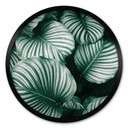 Plakat Urban Jungle - Calathea Orbifolia - Okrągły