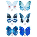 Muursticker Set Hugonnard - Blue Butterflies
