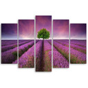 Impression sur toile en 5 parties, fleurs violettes des prés
