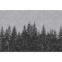 Livingwalls Fototapet Walls by Patel svart skog 3