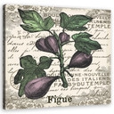 Canvasbillede, vintage figen
