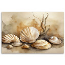 Leinwandbild Meeresmuscheln Acryl