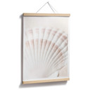 Plakat 1X Studio - Scallop
