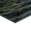 Vægmaleri af fyrreskov i Huang Shan-bjergene - NingYun Ye - Panorama – print på aluminium