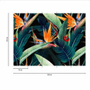 Nature Rainforest tapet i sort grøn - non-woven tapet Designwalls 2 - 2,55 x 3,5 m