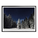 Plakat - Zimowy las