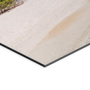 Billede af palmestrand i Sydhavet - Colombo – print på aluminium (Alu-Dibond)