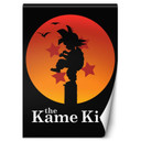 Fototapete, Kame Kid