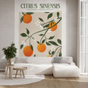 Fototapeta boho z drzewem pomarańczowym - Citrus Sinensis - Tunaboylu