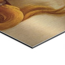 Alu-Dibond brossé avec Effet Doré, Argenté & Cuivré - Portrait de Vénus - Botticelli