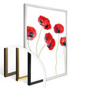 Plakat Disher - Maki