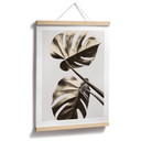 Plakat 1X Studio - Golden Monstera