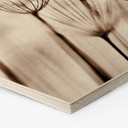 Hexagone - Bois Parapluie d'aviateur
