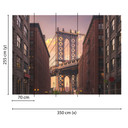 non-woven tapet BrooklynBridge Bridge New York fototapet Designwalls i brun og grå 