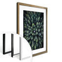 Plakat Lindsten - Treetops