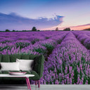 Fototapet lilla blå - Ikke-vævet tapet 3,75 m x 2,50 m blomstermark Provence