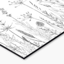 Rivestimento cucina Illustrazione di fiori di campo