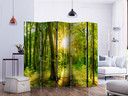 Paravent, Raumteiler freistehend, Trennwand - Forest Rays II, 5-teilig - einseitig bedruckt - 225x17