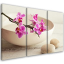 3 stykke lærredsprint, Orchid Bowl Flowers Beige
